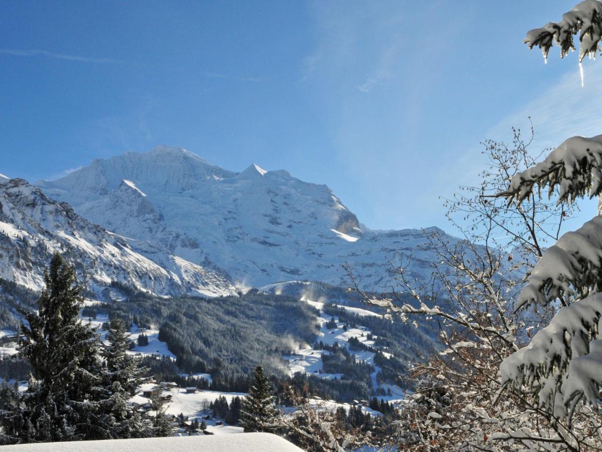 Apartment Rose Studio Y By Interhome Wengen Bagian luar foto